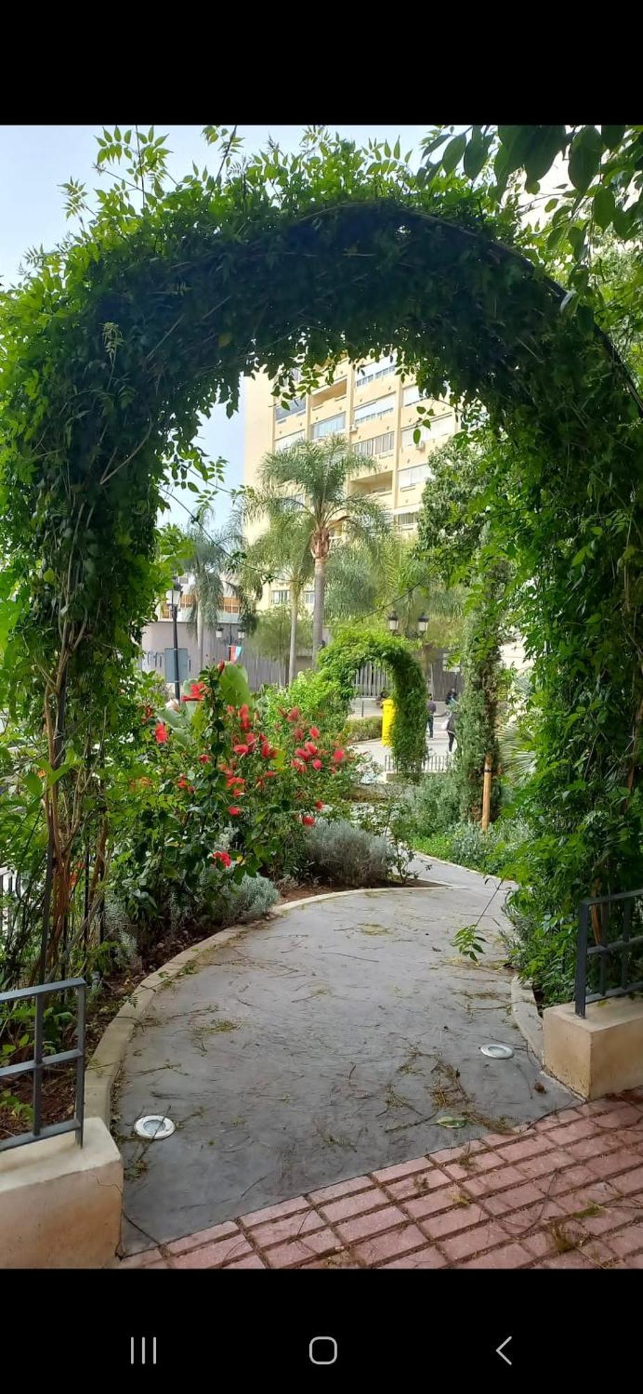 Andreas Centro * Marbella
