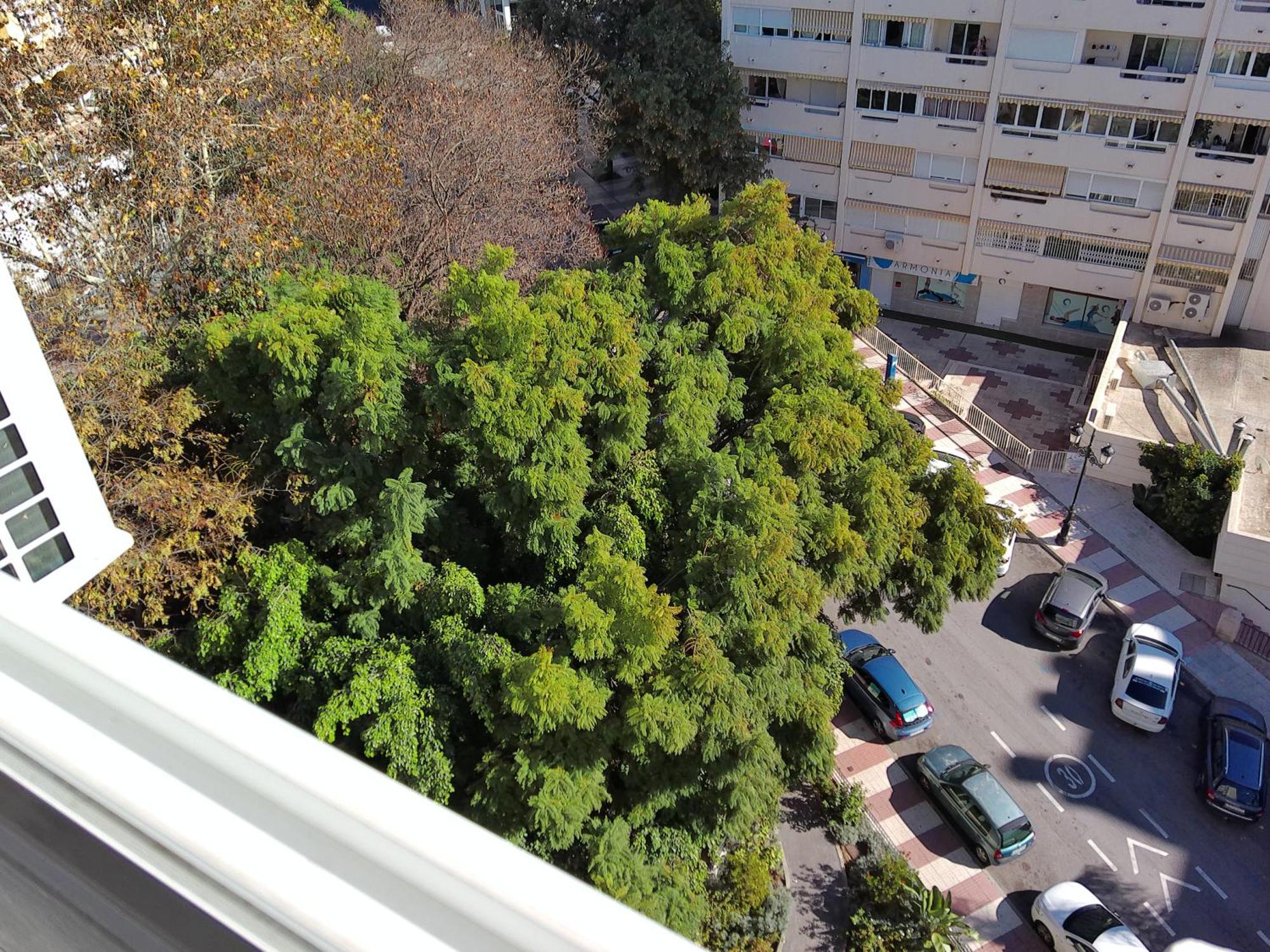 Apartment Andreas Centro